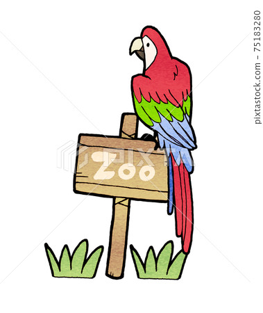 紅綠金剛鸚鵡在動物園裡的插圖 75183280