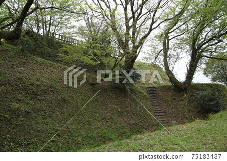 Torigoe城堡 75183487