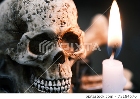 Halloween skull 75184570