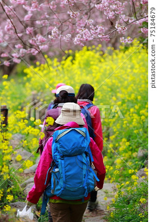 trekking  75184679