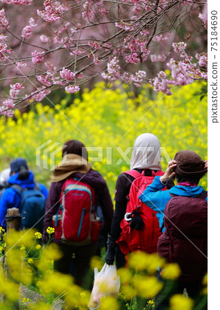 trekking  75184690