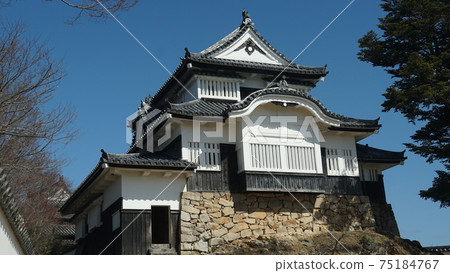 Bitchu Matsuyama城堡 75184767