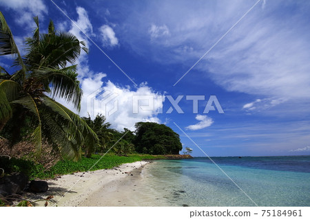 South Pacific island country Samoa Independent country Samoa Island North coast sandy beach and blue sea South Pacific island country Samoa Independent country Samoa Island North coast sandy beach and blue sea 75184961