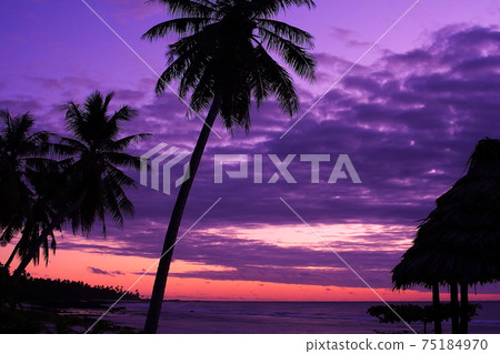 Sunset at Cape Mulinu, the westernmost island of Samoa, an island country in the South Pacific 75184970