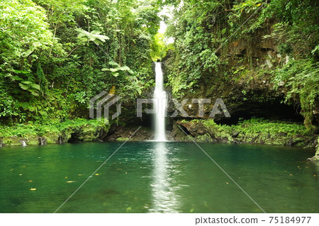 South Pacific Island Country Samoa Independent Country Samoa Island Jungle Ahuau Waterfall 75184977