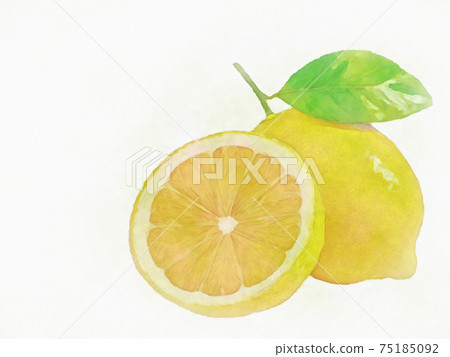 Lemon lemon hand-painted style watercolor painting style 75185092