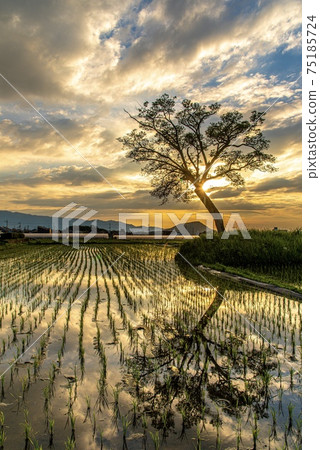 《奈良縣》 《奈良縣》 75185724