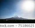 針葉林和富士山 75186025