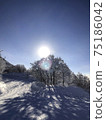 冬季滑雪勝地和背光的陽光 75186042
