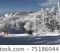 冬季滑雪勝地 75186044