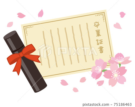 Diploma and cherry blossoms 75186463