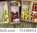 Selling 4 kinds of apples in a box 75186653