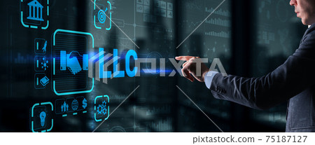LLC. Limited Liability Company. Business Technology Internet 75187127