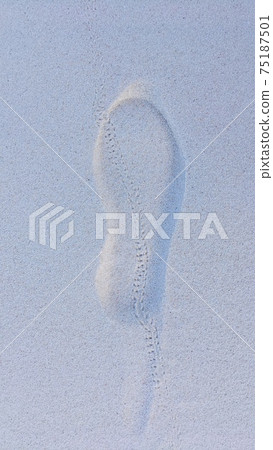 Human and crab footprints in white sand Human and crab footprints in white sand 75187501