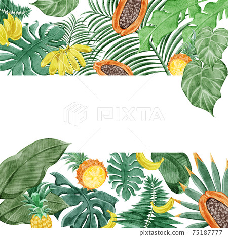 Tropical plant tropical fruit frame decoration 75187777