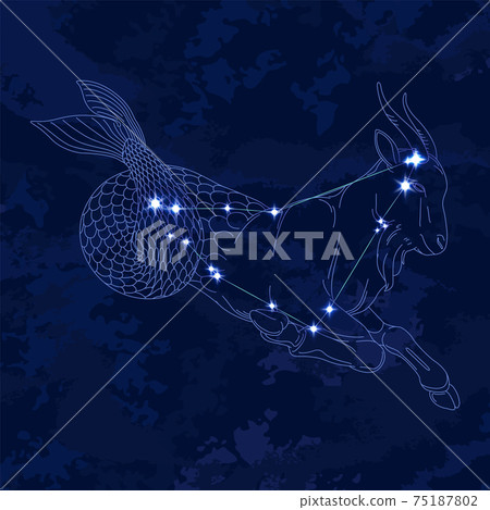 88 Constellation Series B-Constellation Picture and Constellation Line-Capricorn 88 Constellation Series B-Constellation Picture and Constellation Line-Capricorn 75187802