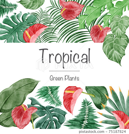 Tropical plant tropical frame decoration 75187824
