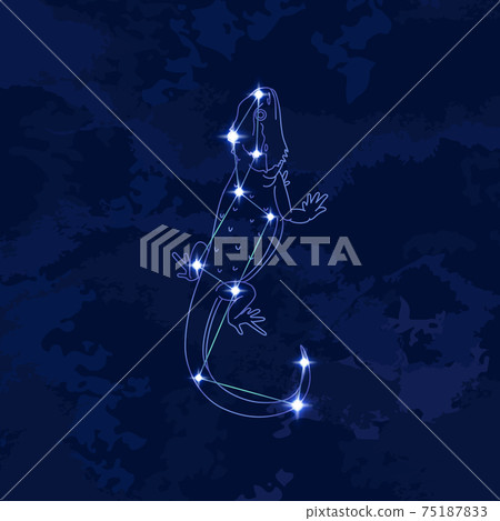 88星座系列B-星座圖和星座線-蝎虎座 75187833