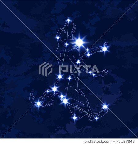 星座系列b 星座圖和星座線 Canis Major 插圖素材 圖庫