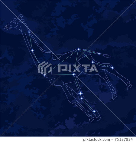 88星座系列B-星座圖和星座線-駱駝 75187854