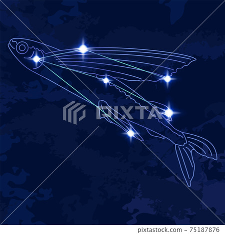 88 Constellation Series B-Constellation Picture and Constellation Line-Volans 88 Constellation Series B-Constellation Picture and Constellation Line-Volans 75187876