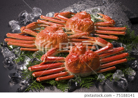 Crab snow crab 75188141