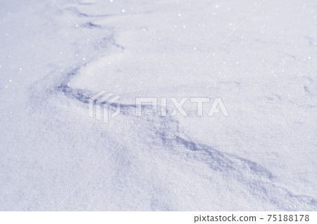 Wind crests seen on the snow surface of alpine in winter Wind crests seen on the snow surface of alpine in winter 75188178