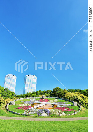 千葉Makuhari海灘公園花鐘 75188604