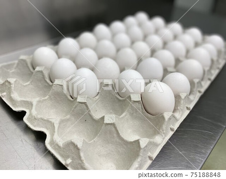 大量的雞蛋 大量的雞蛋 75188848