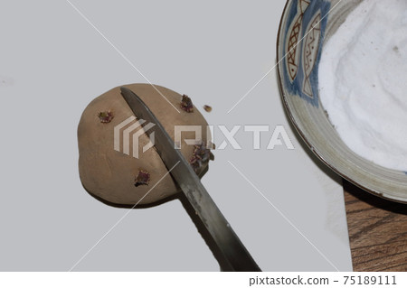 Potato planting preparation Potato planting preparation 75189111