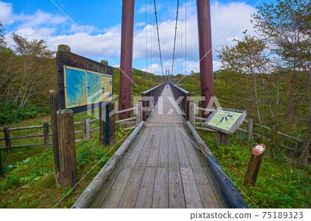 Autumn azalea suspension bridge in Nasu Highlands, Tochigi Prefecture 75189323