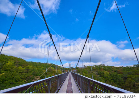 Autumn azalea suspension bridge in Nasu Highlands, Tochigi Prefecture Autumn azalea suspension bridge in Nasu Highlands, Tochigi Prefecture 75189334