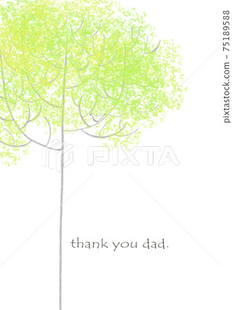 樹木 樹 木頭 75189588