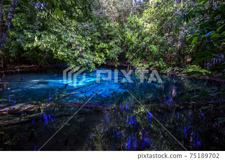 Emerald Pool-Krabi Emerald Pool-Krabi 75189702