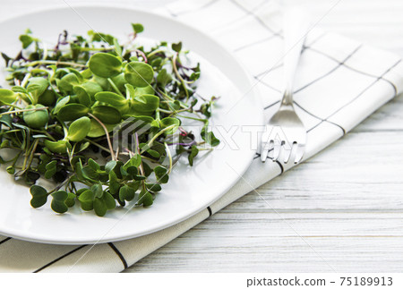 Micro greens in a plate on a white background, micro green, healthy food concept 75189913