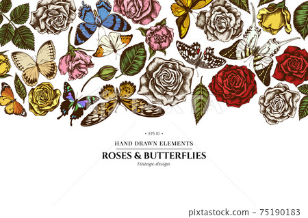 Floral design with colored lemon butterfly, red lacewing, african giant swallowtail, alcides 75190183