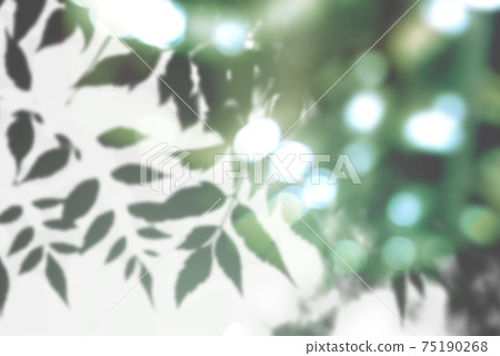 Forest trees 75190268