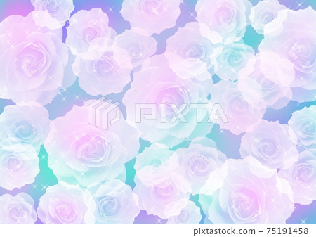 Rose background Rose background 75191458