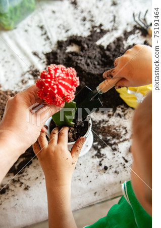 Crop mother and child planting cactus together 75191464