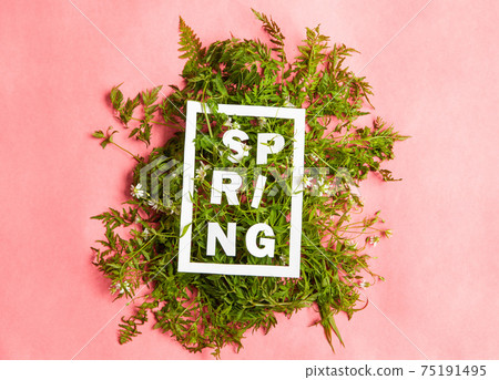 Sprint Time inscription on green plants on pink background Sprint Time inscription on green plants on pink background 75191495