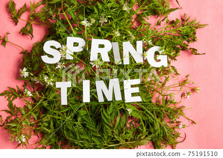 Sprint Time inscription on green plants on pink background 75191510