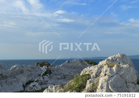 Shirasaki coast limestone 75191812