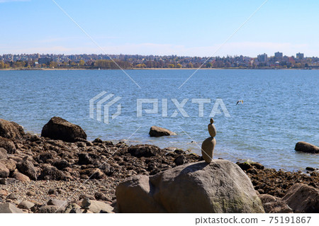 加拿大溫哥華石頭海史丹利公園 75191867