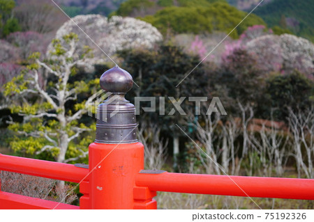 Miyono-bashi in South Paradise Miyono-bashi in South Paradise 75192326
