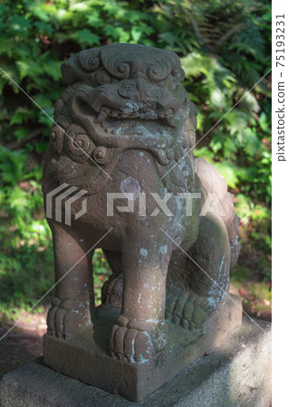 Komainu statue (Sankeien Tenmangu, Yokohama, Kanagawa) Komainu statue (Sankeien Tenmangu, Yokohama, Kanagawa) 75193231