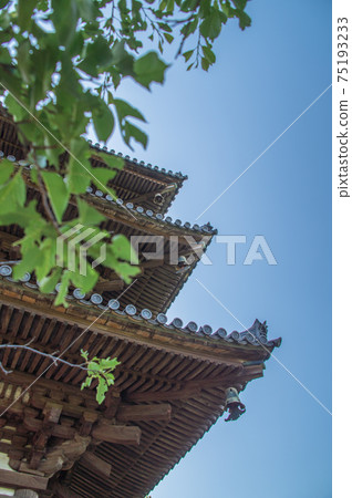 Looking up at the old three-storied pagoda (former Tomyoji three-storied pagoda, Sankeien Garden, Yokohama, Kanagawa Prefecture) Looking up at the old three-storied pagoda (former Tomyoji three-storied pagoda, Sankeien Garden, Yokohama, Kanagawa Prefecture) 75193233