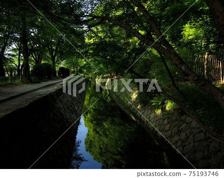 Philosopher's Walk Summer "Japanese Image" (Kyoto) Philosopher's Walk Summer "Japanese Image" (Kyoto) 75193746