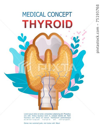 internal organs medical poster concept internal organs medical poster concept 75193768
