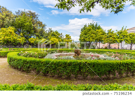 Rose garden of Roman Forum 75196234