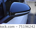 Car side mirror 75196242